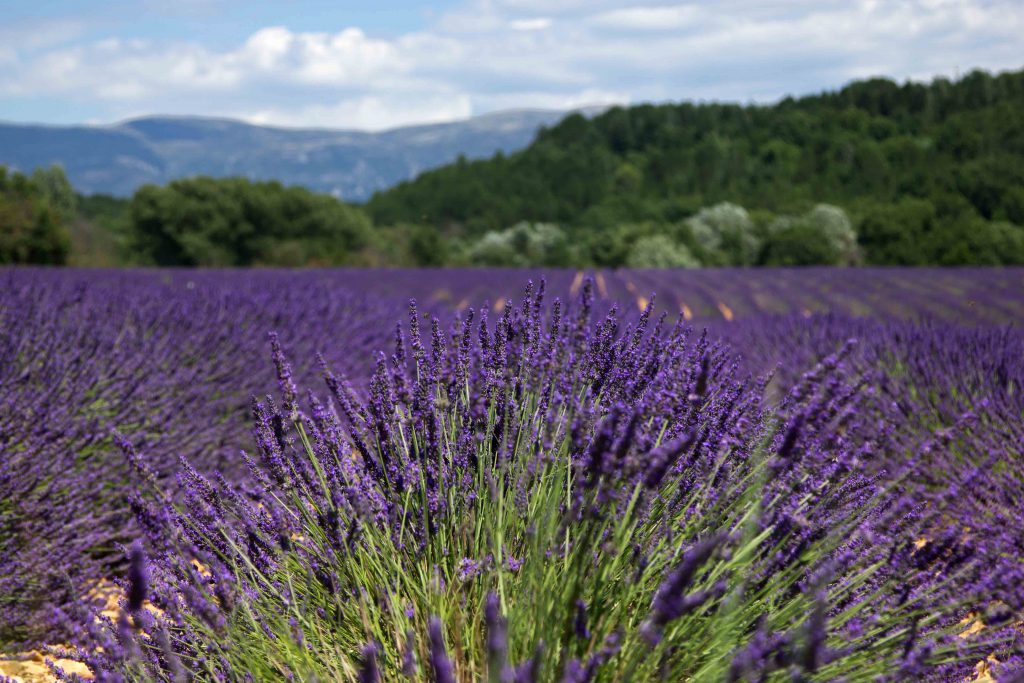 5 leuke plekken rond de Gorges du Verdon