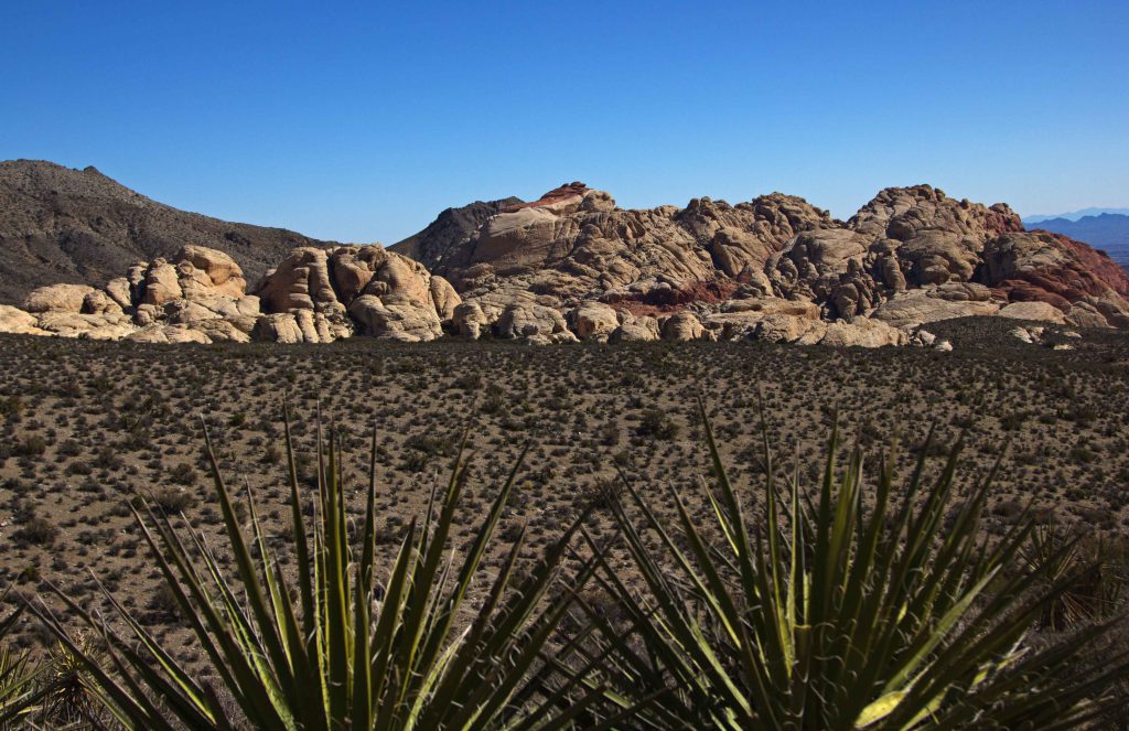 red rock canyon