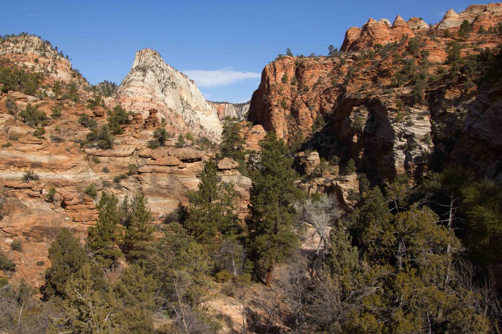 zion national park canyon overlook trail klein