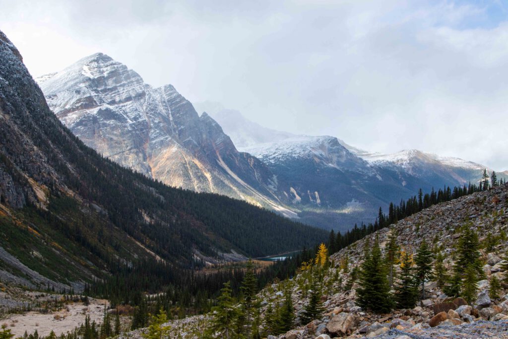 mount edith cavell jasper national park