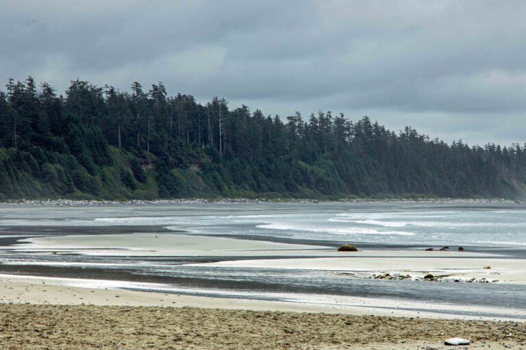 pacific rim national park vancouver island