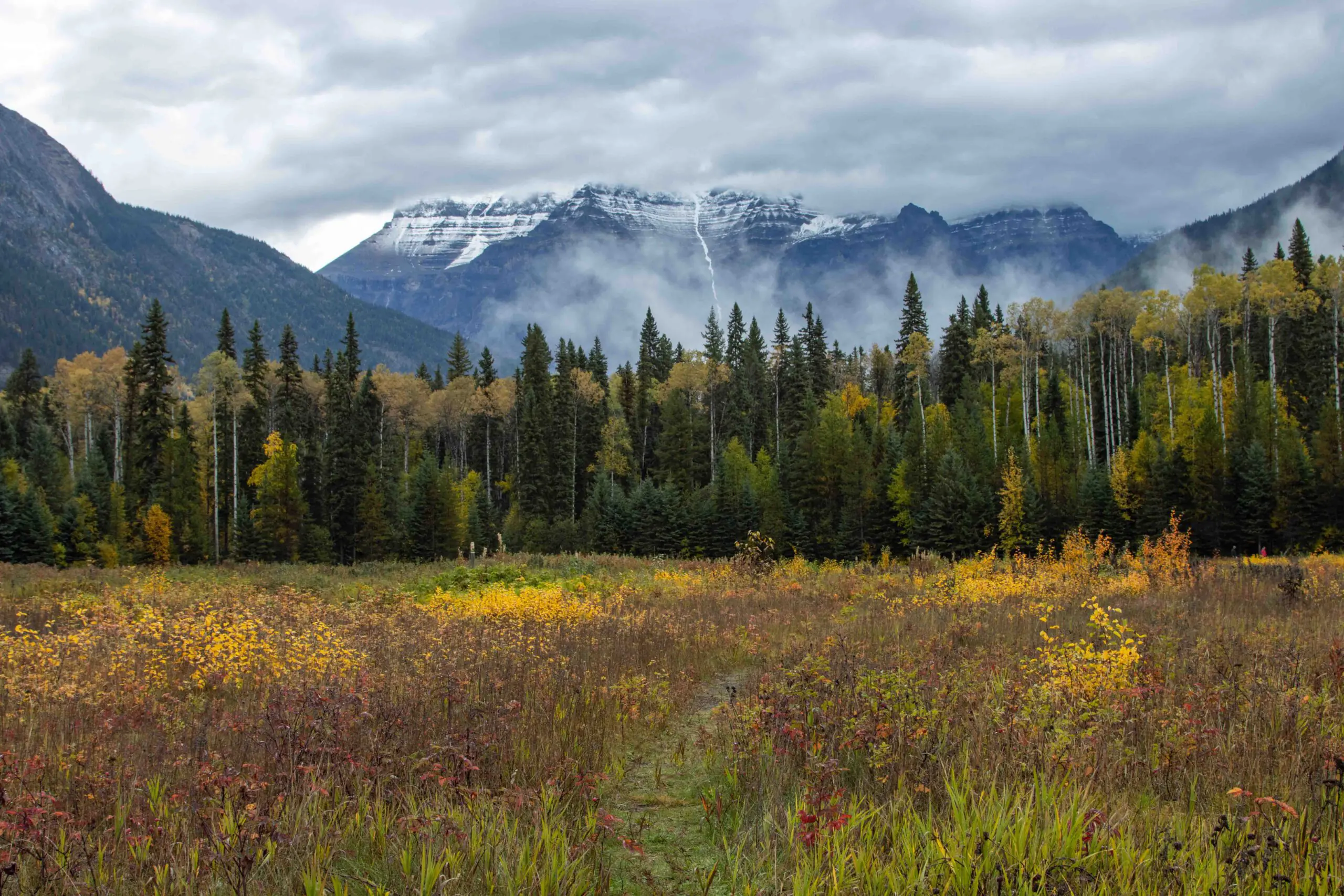 De 10 mooiste wandelingen in Canada: van gletsjers tot steden