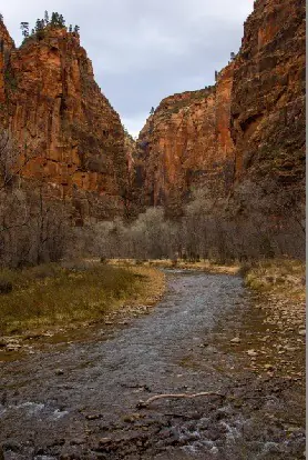 wandelen in zion