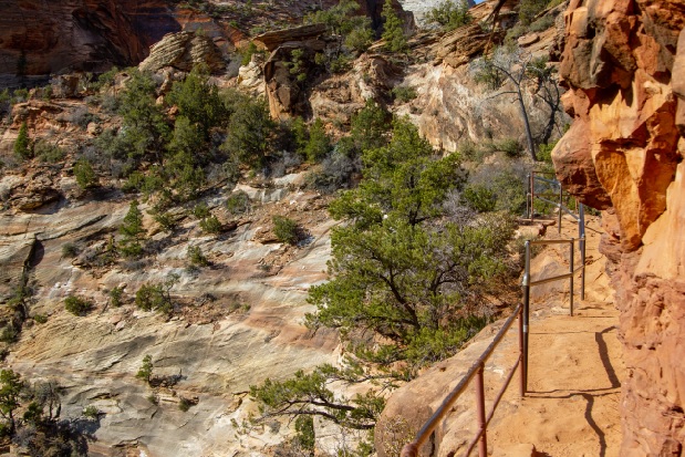 Wandelen in Zion National Park: 5 mooie wandelingen die je niet mag missen