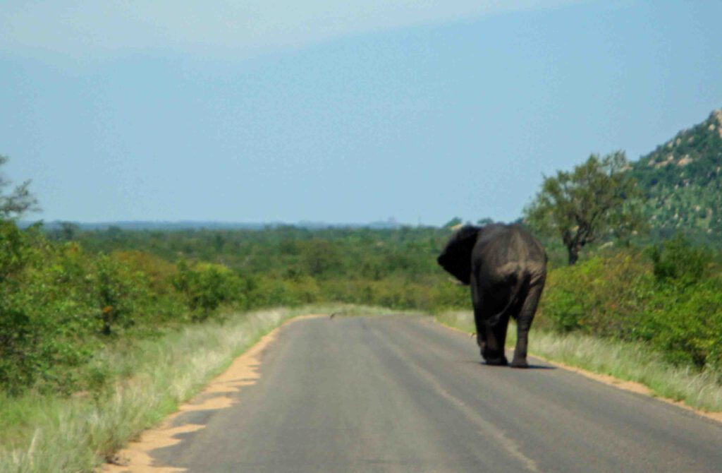 Auto huren in Zuid-afrika