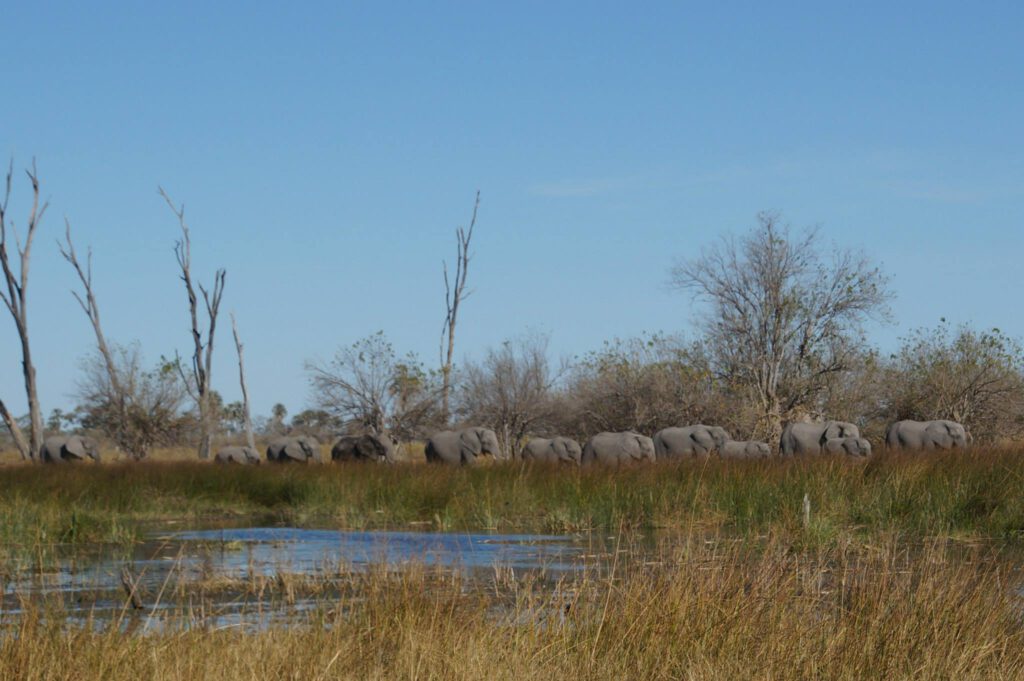overnachten in chobe national park