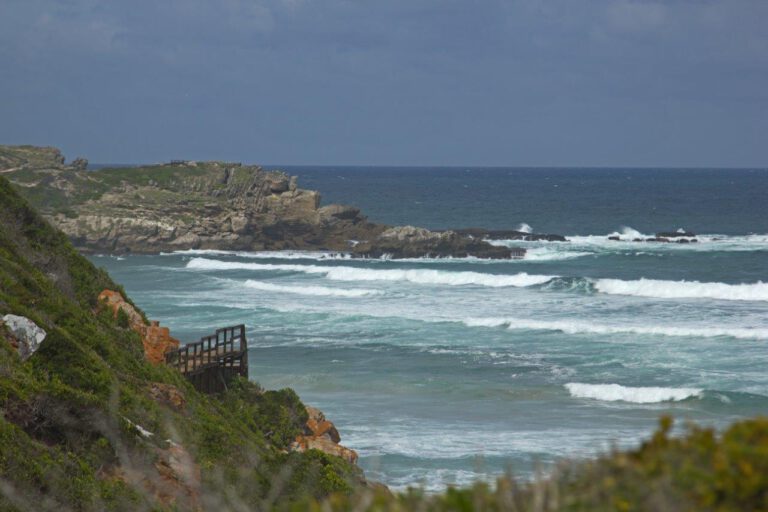tsitsikamma national park