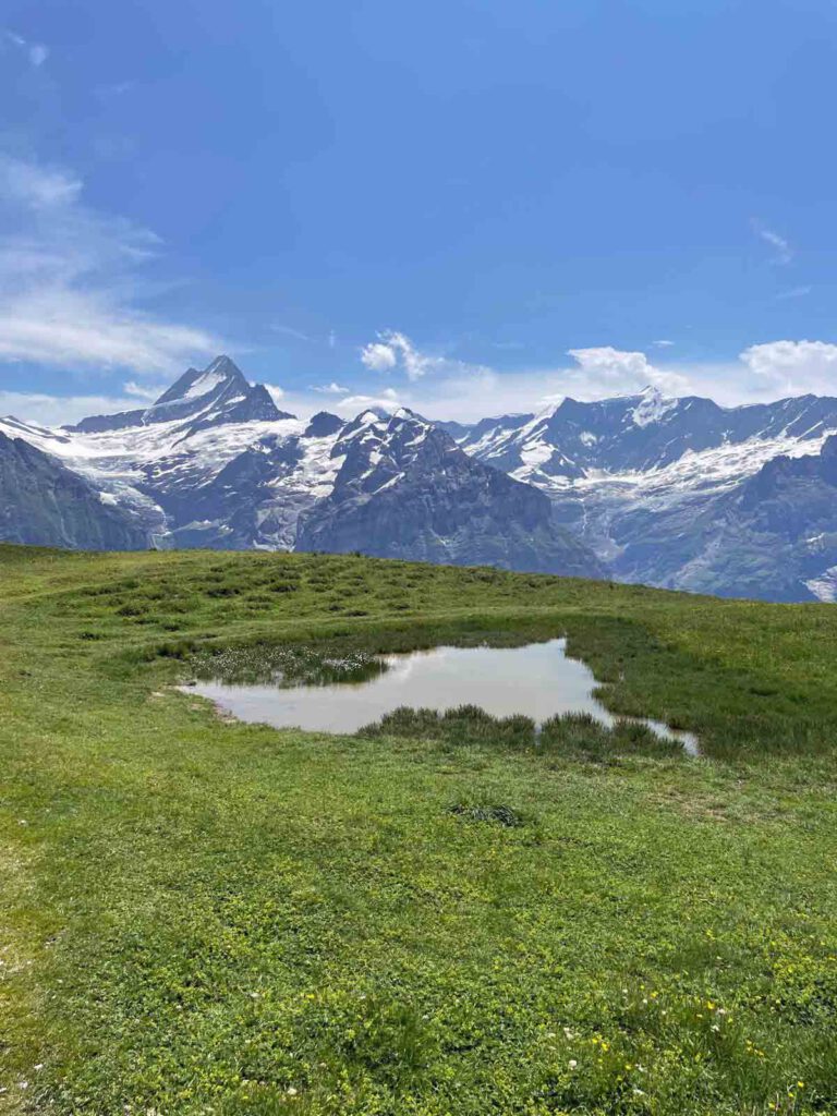 Uitzicht onderweg naar bachalpsee