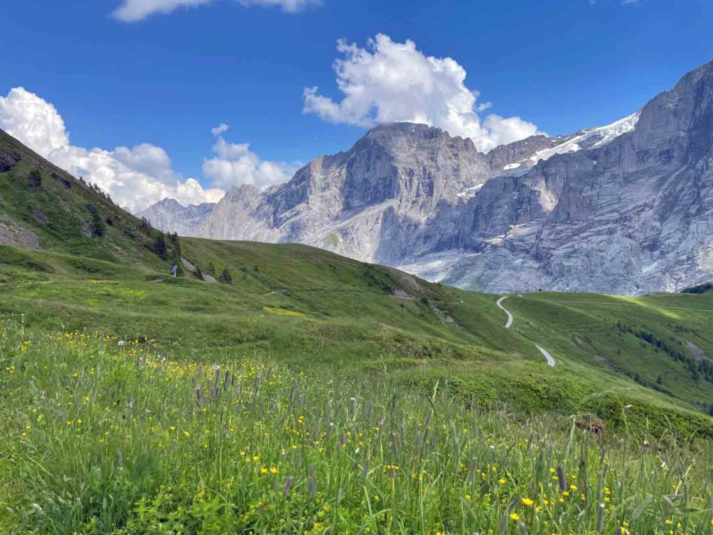 grindelwald first naar grosse scheidegg