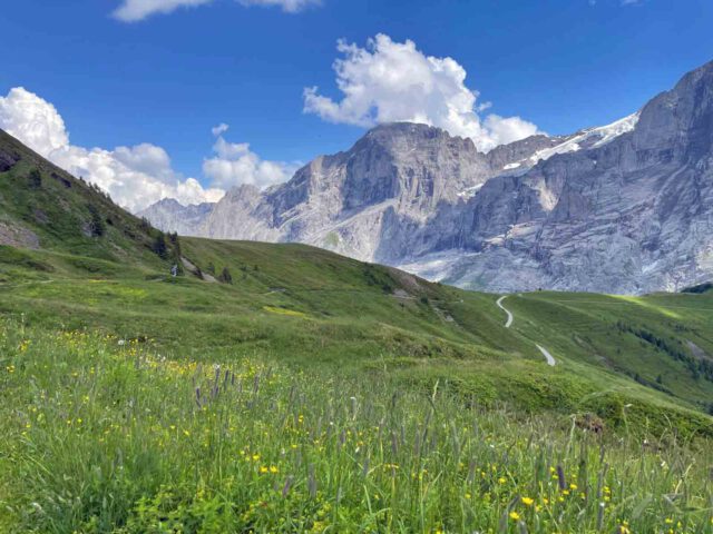 Wandelen van Grindelwald First naar Grosse Scheidegg | panoramatrail in het Berner Oberland