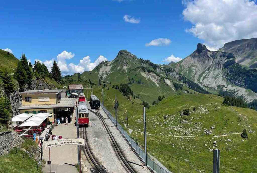 doen op schynige platte