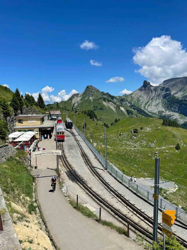 schynige platte