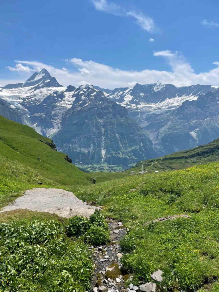 uitzicht vanaf bachalpsee
