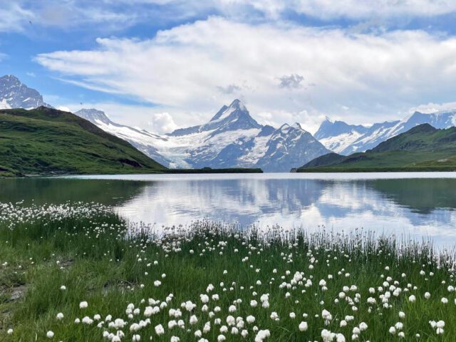 Wandelen naar Bachalpsee – ultieme hike vanuit Grindelwald First