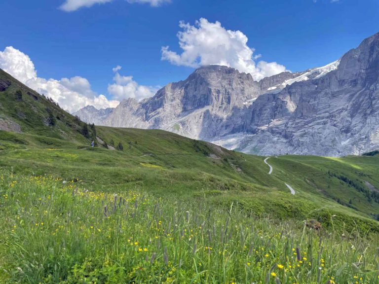 wandelen vanaf Grindelwald First