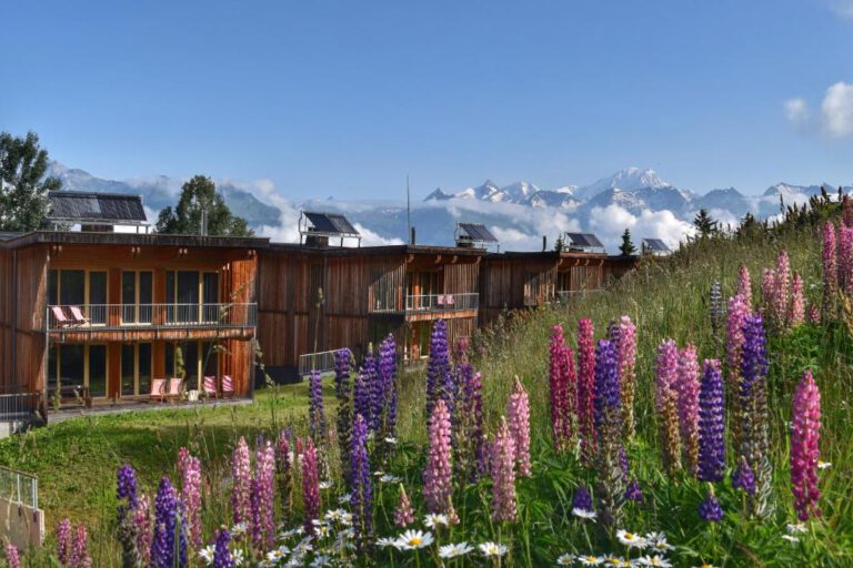 L'Aiguille Grive Chalets Hotel