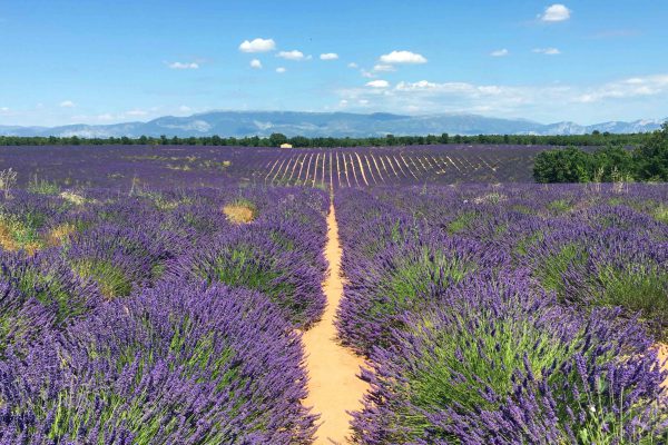 provence met kinderen